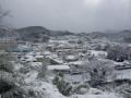 本渡雪景色